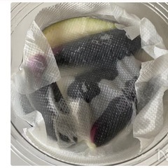 ナス規格外格安！の画像
