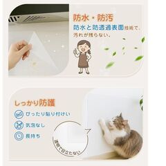 ペット猫用 壁紙保護シート 防水○防油○無害 スクレーパー付き 目立ちにくい 再剥離可能　透明の画像