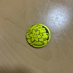 ポケモンコイン