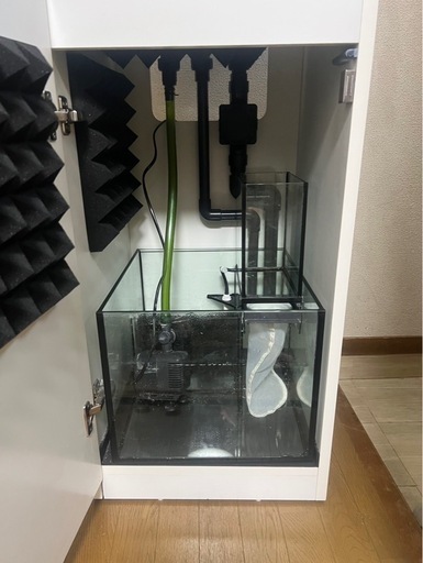 中古海水レッドシーナノ45   OF水槽セット