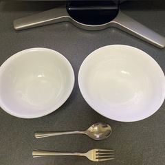 プラ陶器どんぶり＆ノリタケスプーンフォーク🍴