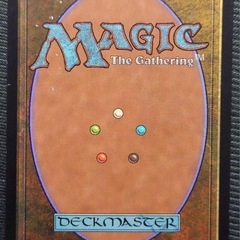 MTG  欲深きドラゴン　サインドの画像
