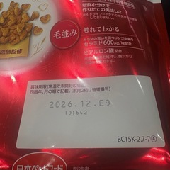 キャットフードの画像