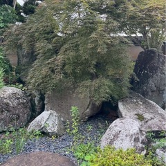2,000万円ほど掛かった日本庭園をお譲りします。の画像