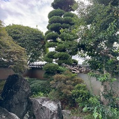 2,000万円ほど掛かった日本庭園をお譲りします。の画像