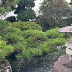 2,000万円ほど掛かった日本庭園をお譲りします。の画像