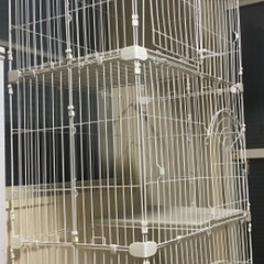 猫のゲージの画像