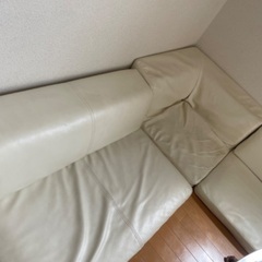 ローソファの画像