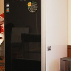 【ジャンク】LG Styler 電気乾燥機　S3BFの画像