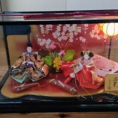 ガラスケース入り雛人形🌸今月末までのお取引です