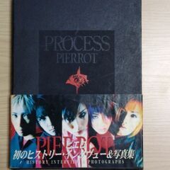 PIERROT PROCESS HISTORY INTERVIE...