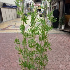 造花　竹林　四つ有り　の画像