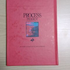 PIERROT PROCESS HISTORY INTERVIEW & PHOTOGRAPHSの画像