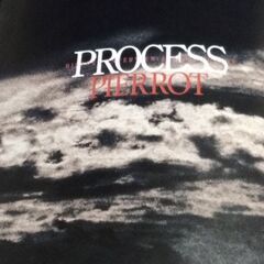 PIERROT PROCESS HISTORY INTERVIEW & PHOTOGRAPHSの画像