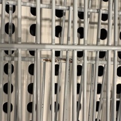 イージーホーム60の画像