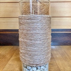 観葉植物　パキラとガラス製鉢カバーの画像