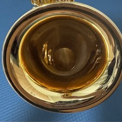 アルトサックス ヤマハ YAS-875EXG（II）の画像