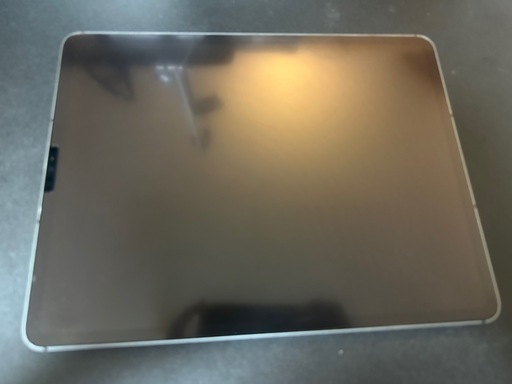 iPad pro 12.9 第5世代 セルラー 256GB