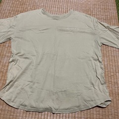 ⓪レディース　衣類　半袖の画像
