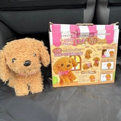 「愛犬モカちゃん」の画像