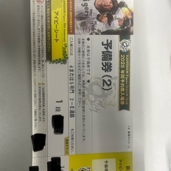 阪神タイガース試合観戦