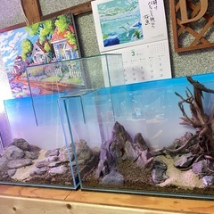 ADA水槽60cmと台。2セットの画像