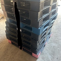 再入荷！20枚限定！プラスチックパレットの画像