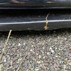 クラウン　フロントリップスポイラーの画像