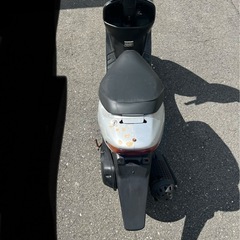 人気　高騰中　ホンダ　HONDA 高馬力　2スト　ライブディオ  LIVEDIO AF34 実働　セル始動　買い物　足　原付　はや速いの画像