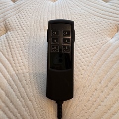FranceBed（電動リクライニングベッド）「グランマックス プレミアム」の画像