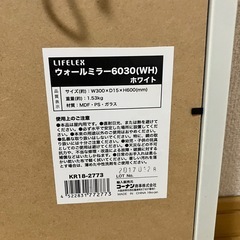  ウォールミラー 60×30 ホワイト 壁掛け鏡 0円早い者勝ちの画像