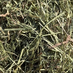 チモシー　3kg　うさぎ等の餌　の画像