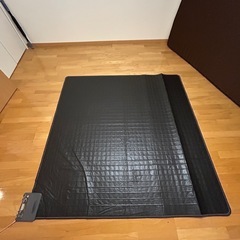 ニトリカーペット&ホットカーペット　の画像