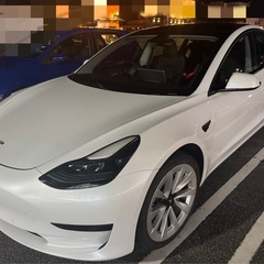 テスラモデル3 RWDチャデモアダプター日本製付の画像