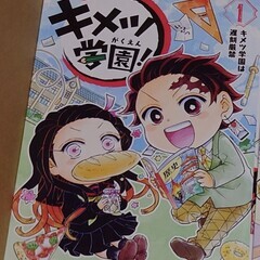 鬼滅の刃関係9冊　希望者には2枚目以降の商品もお付けできます。　他の有料商品とまとめ買いの場合、割引します。の画像