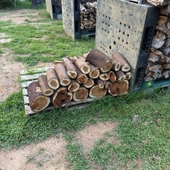沖縄県　薪　キャンプ　焚き火　の画像