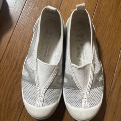 うわばき　19センチの画像