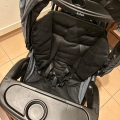 KATOJI 二人でゴーDX 二人乗りベビーカー
の画像