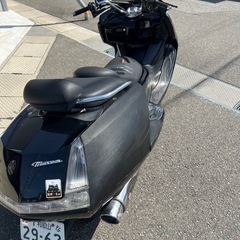 YAMAHA   マグザム250cc の画像