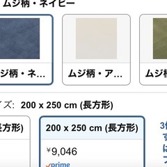 ラグ　　低反発！　　各種、一枚あたり2500円‼️３枚あり‼️✨...
