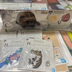 一番くじ爬虫類&両生類