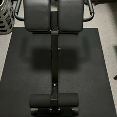 リーディングエッジ バックエクステンションベンチ LE-HRC 背筋マシン トレーニングの画像