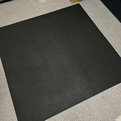 リーディングエッジ バックエクステンションベンチ LE-HRC 背筋マシン トレーニングの画像
