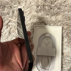 iPhone 16 Pro Max 256GB 本体　値下げ不可の画像