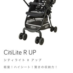グレコ シティライトRアップ ボーダーの画像