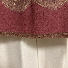ユキコハナイのスカートの画像