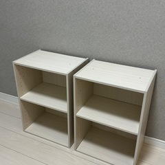 二段ボックス収納(可動式棚板付き)