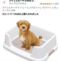 ペットトイレアイリスオーヤマ犬