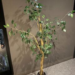 造花 観葉植物 インテリアグリーン オーガスタ他 合計2点