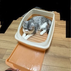 ペット用　ねこ猫　デオトイレ・システムトイレの画像